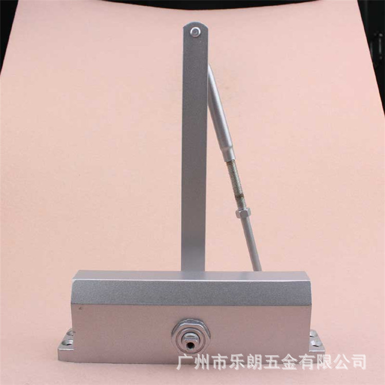 水蜜桃视频污在线观看蜜桃成人免费视频RDC-03 方背闭门器